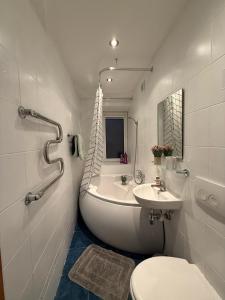 Balvi center apartment