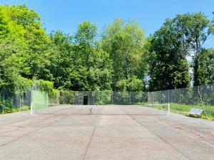 Maisons de vacances Moulin piscine spa tennis petanque billard 8 chambres : photos des chambres