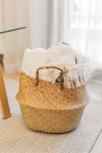 Nomads Nest The Urban Studio