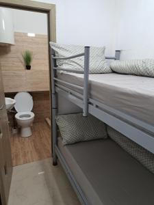 Regim Hotelier Pietonală