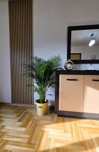 Apartament GOLD blisko Wawelu