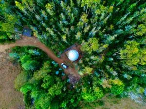 Domo en medio del bosque con wifi - Pitrufquén