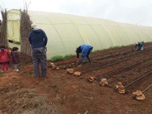 ferme des trois iles