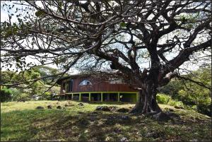 Artistic house in a coffee plantation