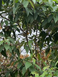AZULEJO, Casa hotel campestre
