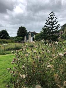 Canal Side Cottage,on the banks of the Caledonian Canal