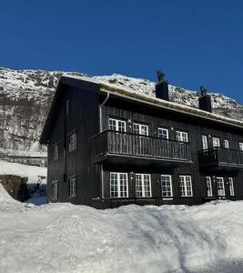 Apartment by the Røldal terrace! - 勒尔达尔