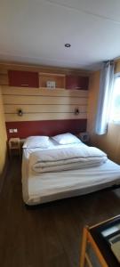 Camping Domaine des iscles