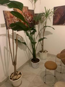 فريده السفارات مدينه نصر