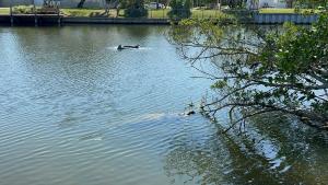 Bamboo Bungalow - waterfront studio near beach