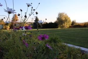 Rezydencja Pod Platanem