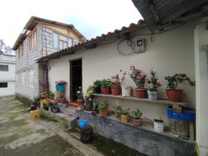 Casa Pájaro Azul - Isinliví