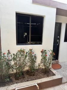 Cozy house in the center of San Vicente