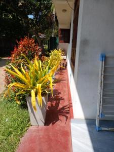 Chathu Lodge