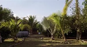 Villa Chabela - Йопаль