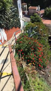 Refugio, cerro alegre