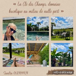 Appartements La Cle des Champs - Studio PiscineSPA-Sauna au jardin tropical idyllique et bucolique : photos des chambres