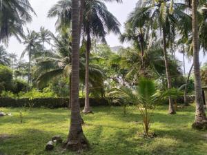 Delft Cultural Home Stay