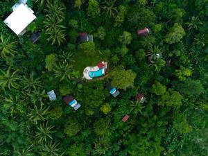 Bali Jungle Camping by Amerta Experience