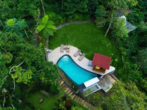 Bali Jungle Camping by Amerta Experience
