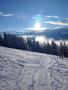 Palazzo Transylvania-Bran