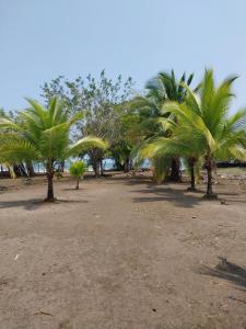 Doña Mary Caribbean House