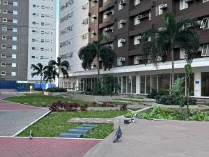 Studio Unit Amaia Skies Shaw