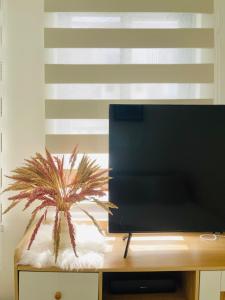 WV 21 Bright & Airy Studio