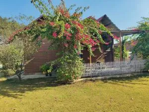 The Nirvana Nest - Dera Māndi