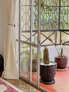 Magnolia Riverside Drive Westlands