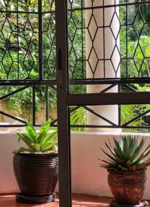 Magnolia Riverside Drive Westlands