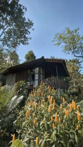 Kebun Kita Ecolodge By Bali Cabin
