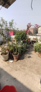 Saraswati kunj