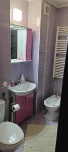 SOPHIA Central Studio