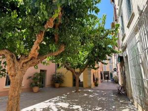 Appartements Sanary appartement 2-4 personnes a deux pas du port : photos des chambres