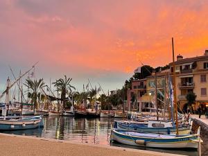 Appartements Sanary appartement 2-4 personnes a deux pas du port : photos des chambres