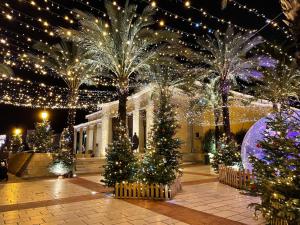 Appartements Sanary appartement 2-4 personnes a deux pas du port : photos des chambres