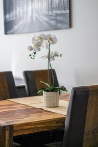 Spacious flat close to center