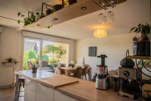 Magnifique appartement entre lac et montagne