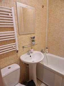 Small and cozy studio flat