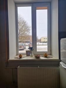 Small and cozy studio flat