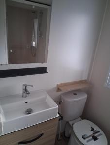 Campings Charmant mobil-home N°698 3ch tout confort au calme : photos des chambres