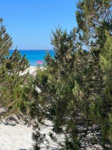 Massetti's Beachside Lodge img19