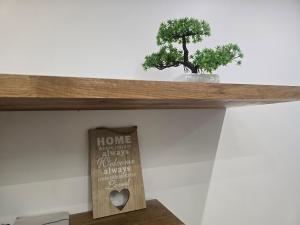 S11 Lime studio apartment