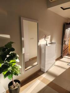 Studil for rent in the view 608