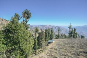 Krishana Kunj Cottage New Kufri