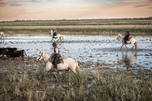 Lodges Camping Les Bois Flottes : photos des chambres