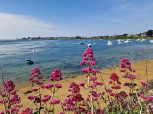Maisons de vacances Nouelig - A 150m de la plage de la Ria : photos des chambres