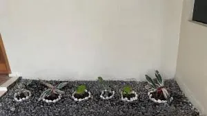 Japandi Ryokan Staycation - 贝克西