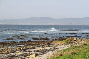 Sandringham Studio in Mouille Point